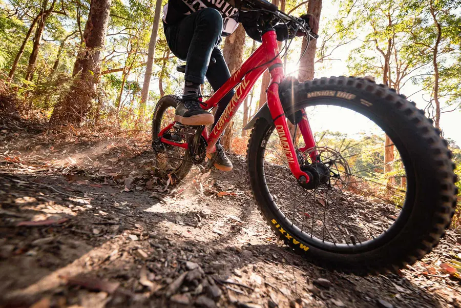 Maxxis Minion DHF