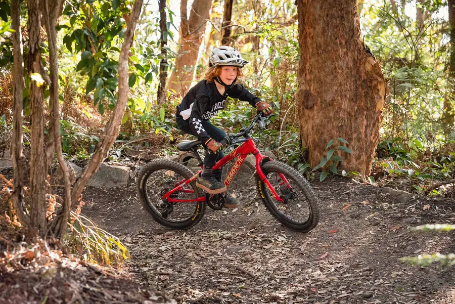 Maxxis Minion DHF