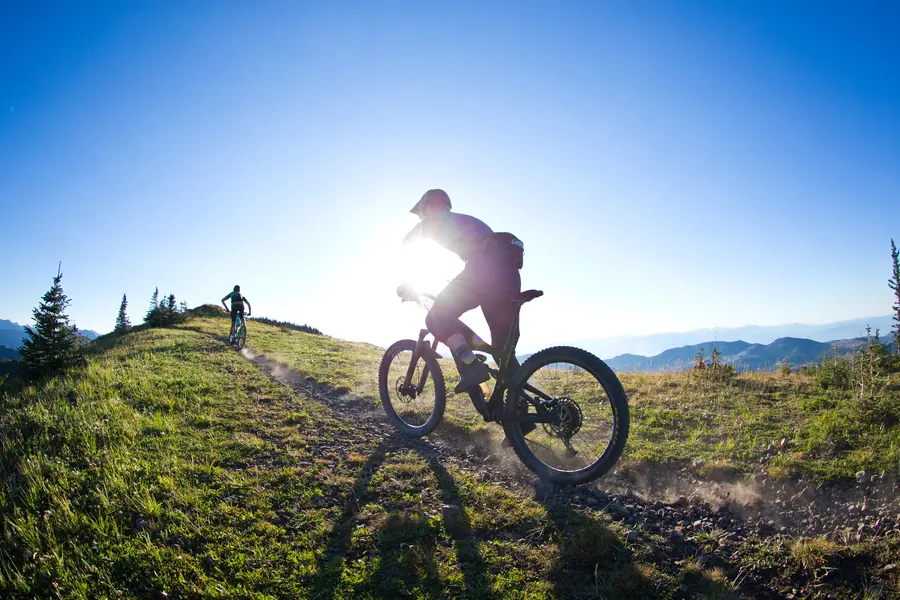 Maxxis Ikon