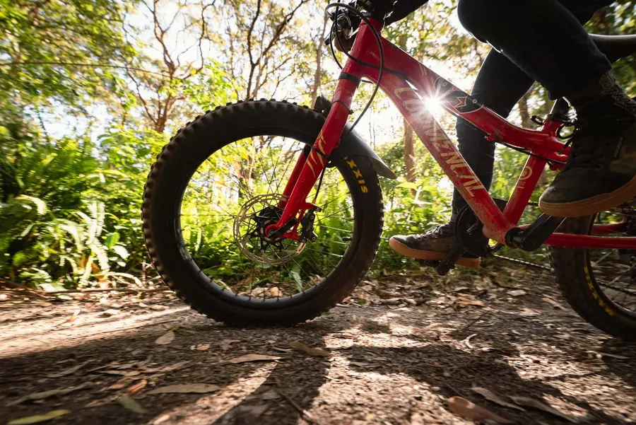 Maxxis Minion DHF