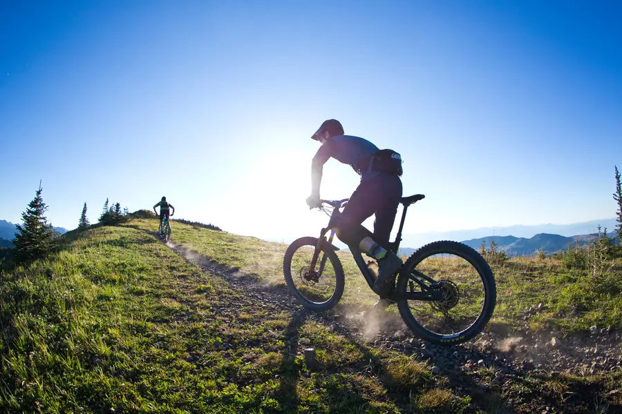 Maxxis Ikon