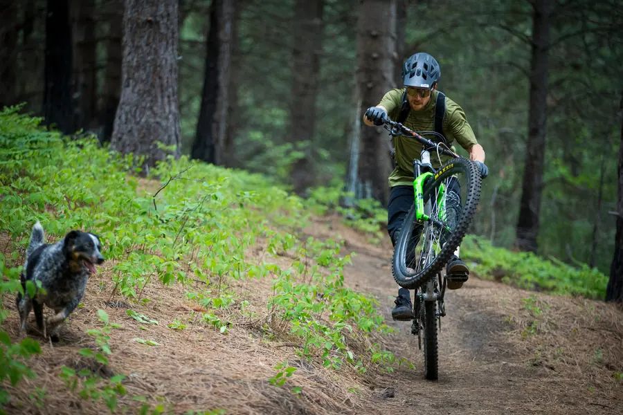 Maxxis High Roller