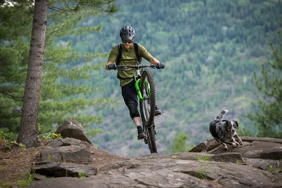 Maxxis High Roller