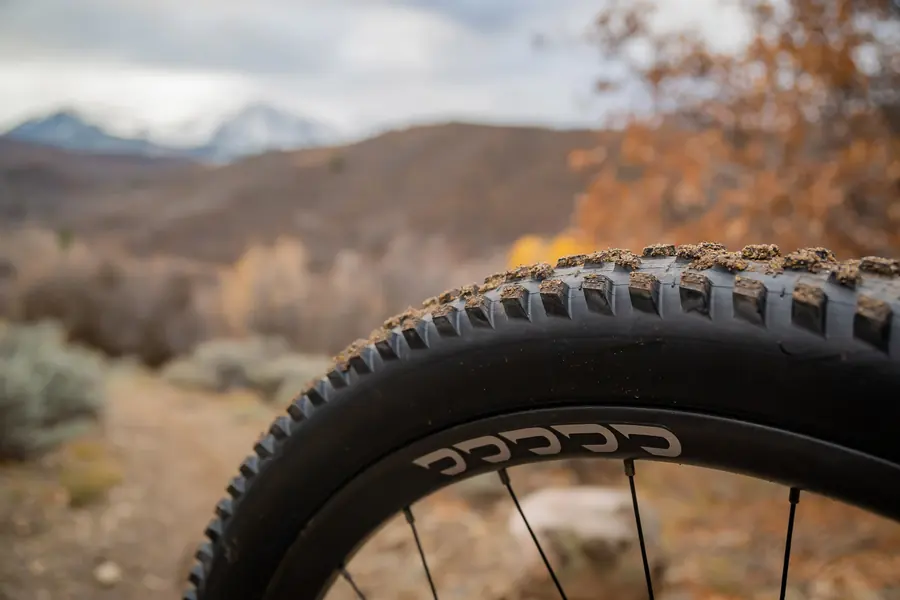 Maxxis