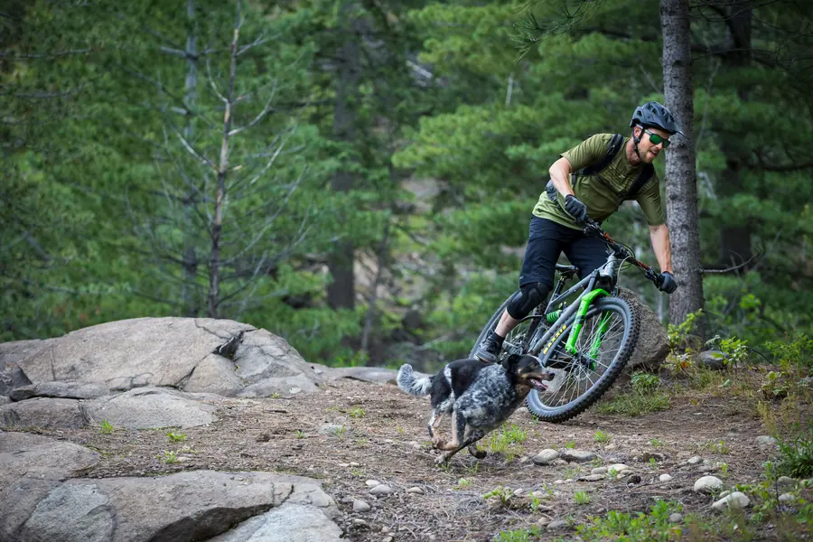 Maxxis High Roller